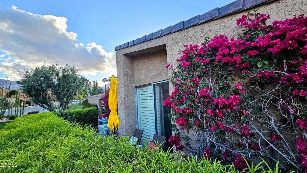 MLS #P1-21957 image #30