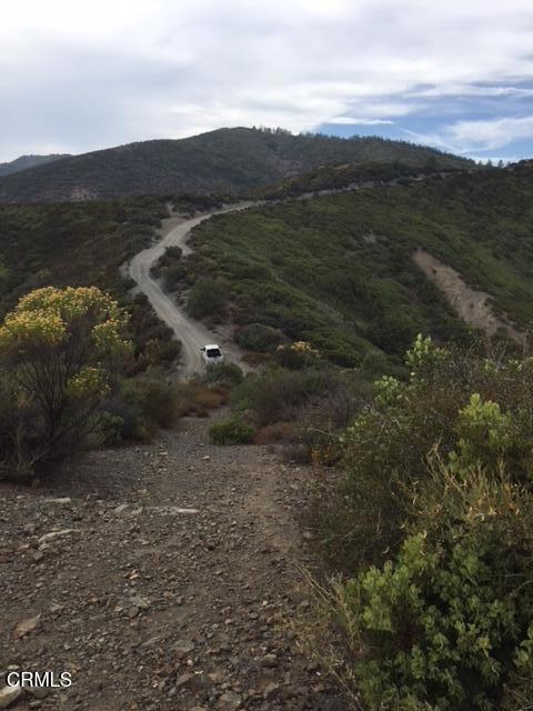 MLS #P1-22082 image #0