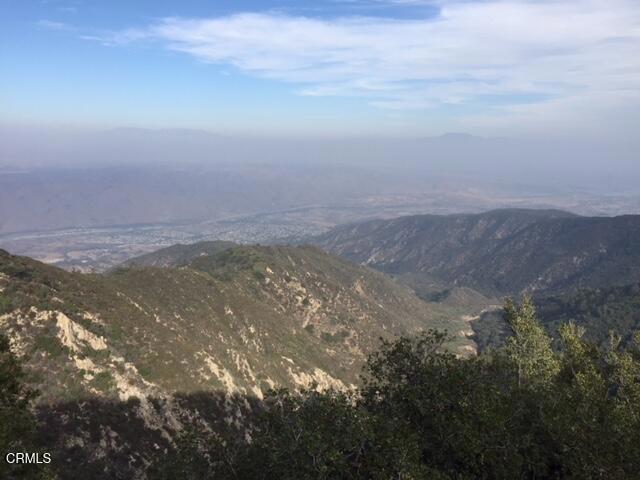 MLS #P1-22082 image #1