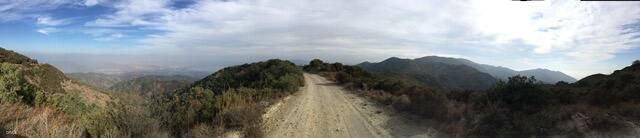 MLS #P1-22082 image #2