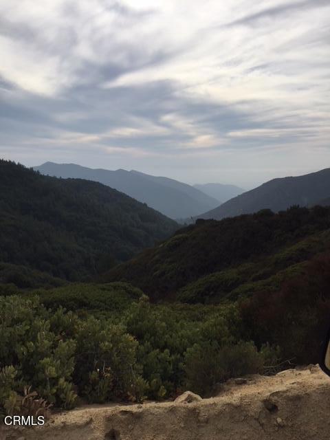 MLS #P1-22082 image #3