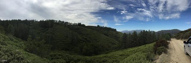 MLS #P1-22082 image #4