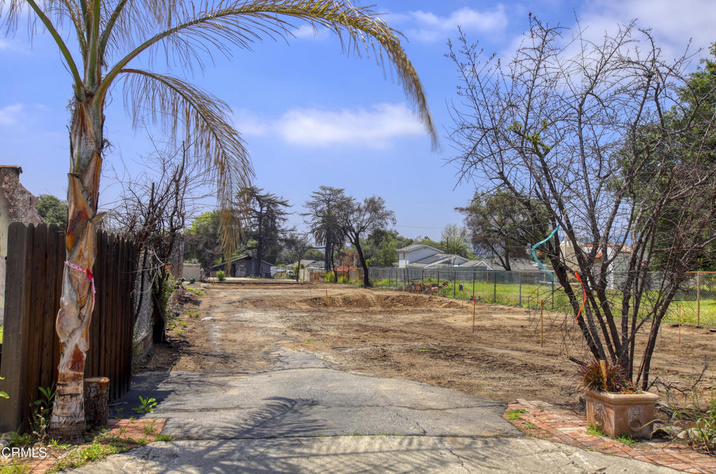 MLS #P1-22119 image #5