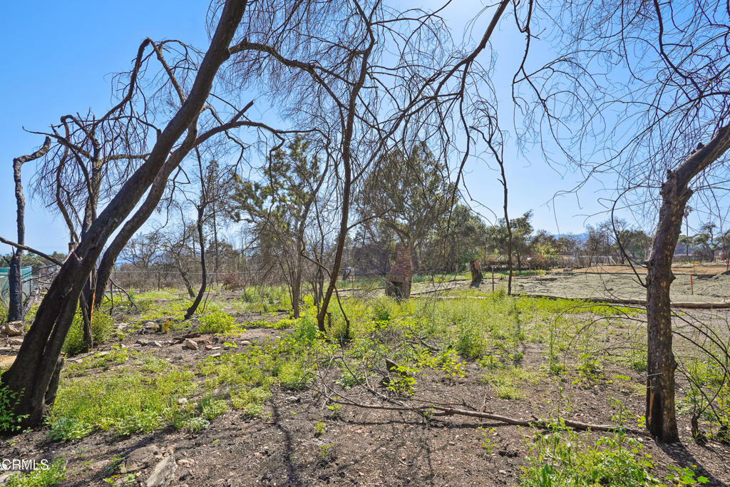 MLS #P1-22226 image #10