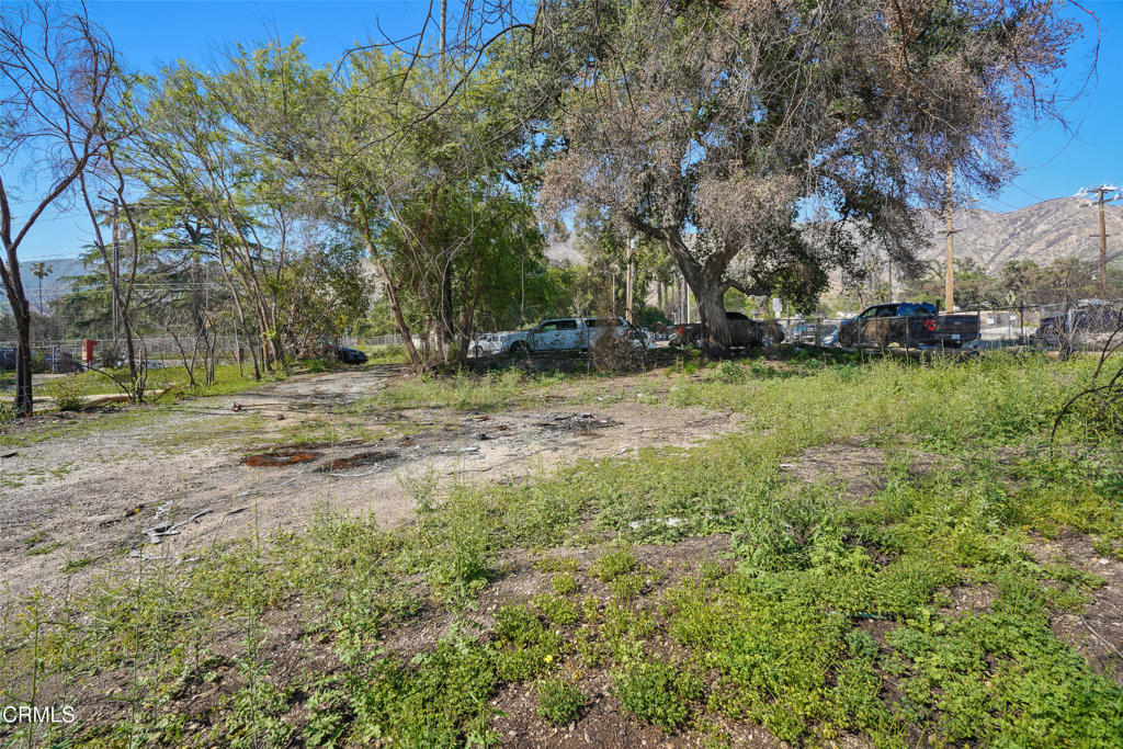 MLS #P1-22226 image #11