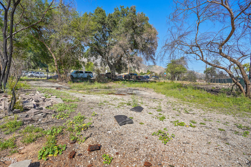 MLS #P1-22226 image #12