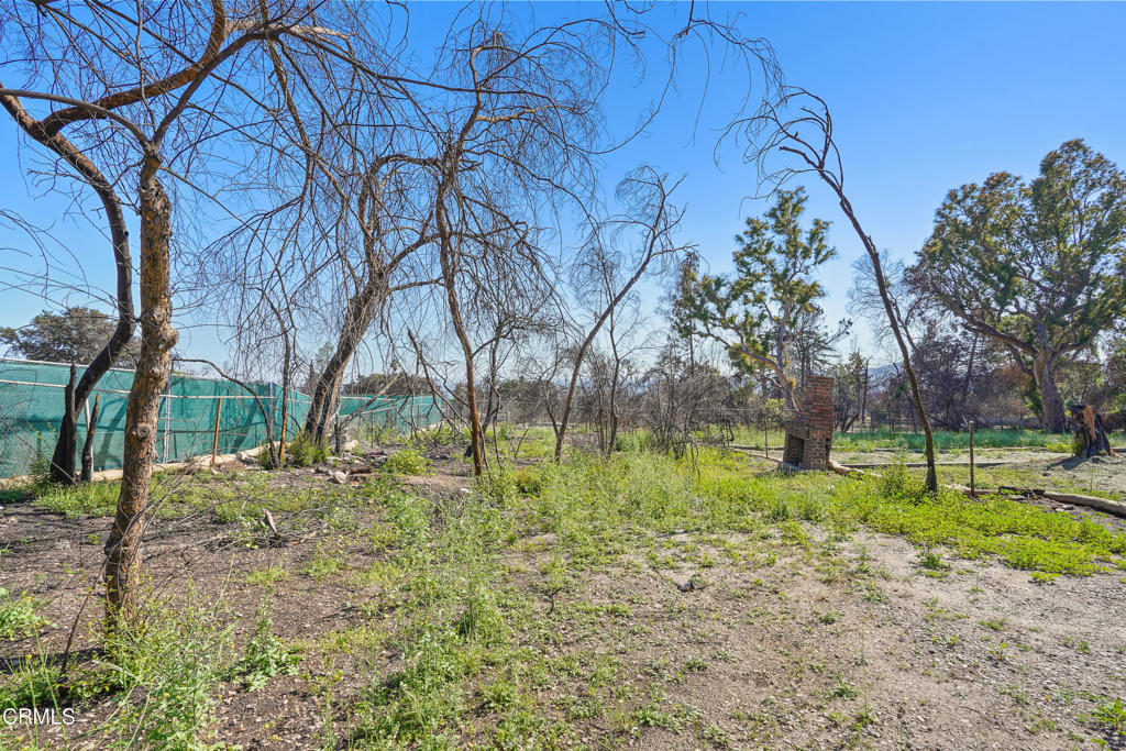 MLS #P1-22226 image #13