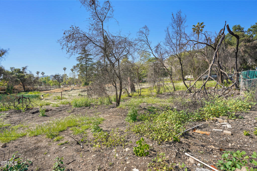 MLS #P1-22226 image #15