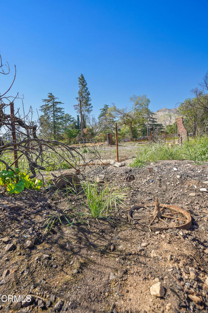 MLS #P1-22226 image #19