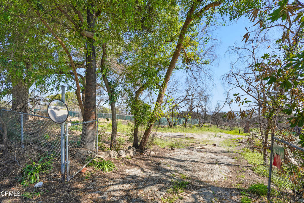 MLS #P1-22226 image #5