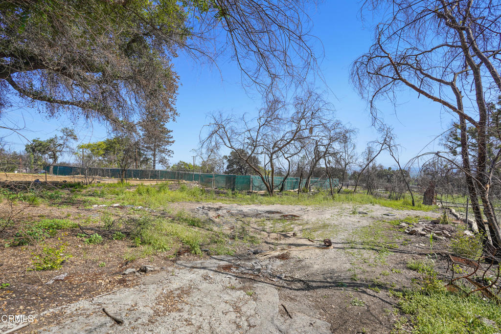 MLS #P1-22226 image #7