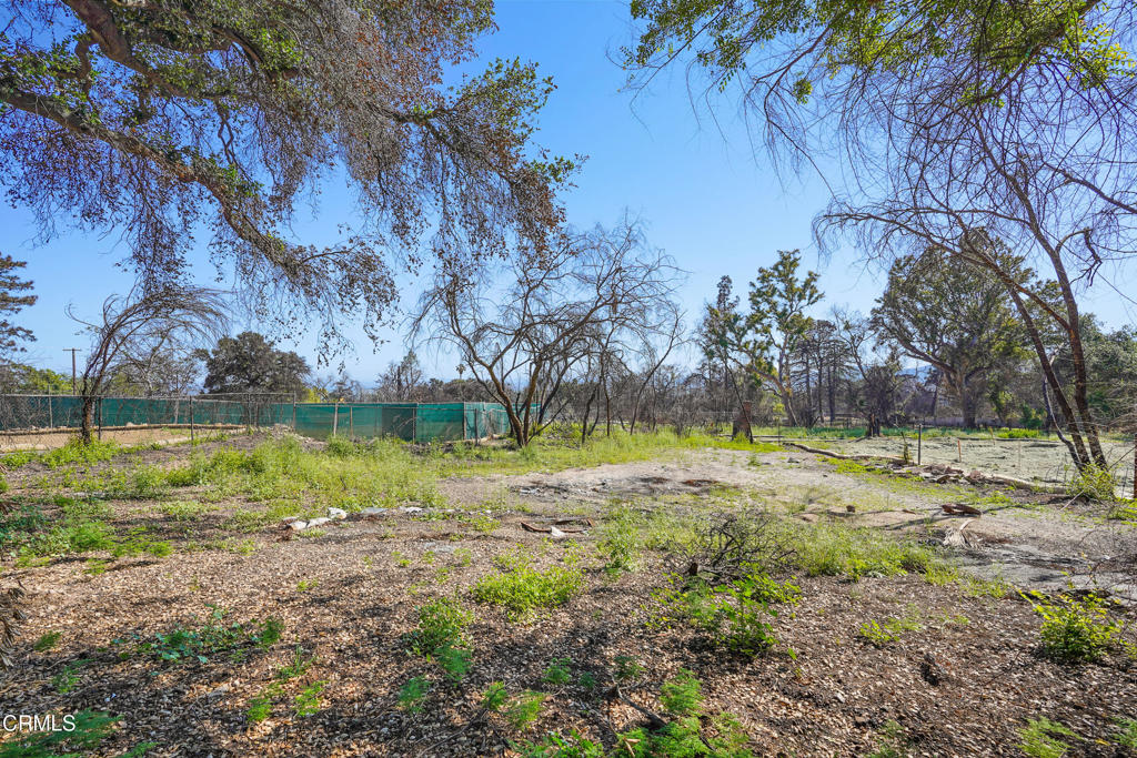 MLS #P1-22226 image #8