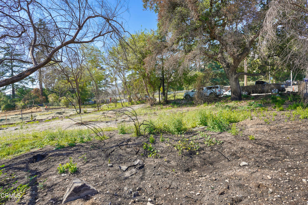 MLS #P1-22226 image #9