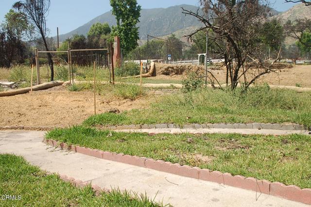 MLS #P1-22371 image #14