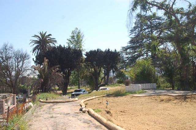 MLS #P1-22371 image #24