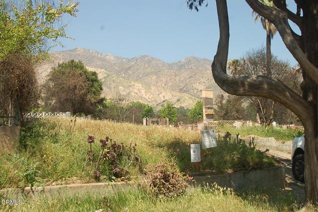 MLS #P1-22371 image #4