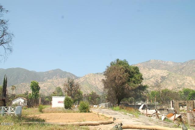 MLS #P1-22371 image #6