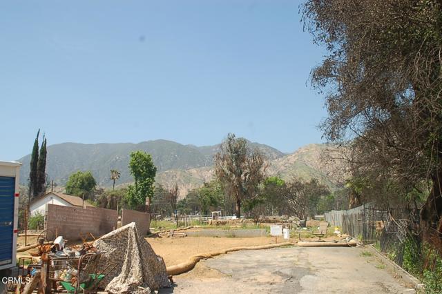 MLS #P1-22371 image #8