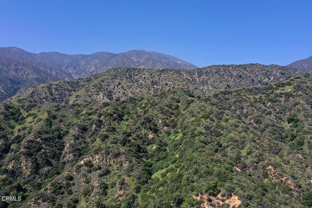 MLS #P1-22569 image #27