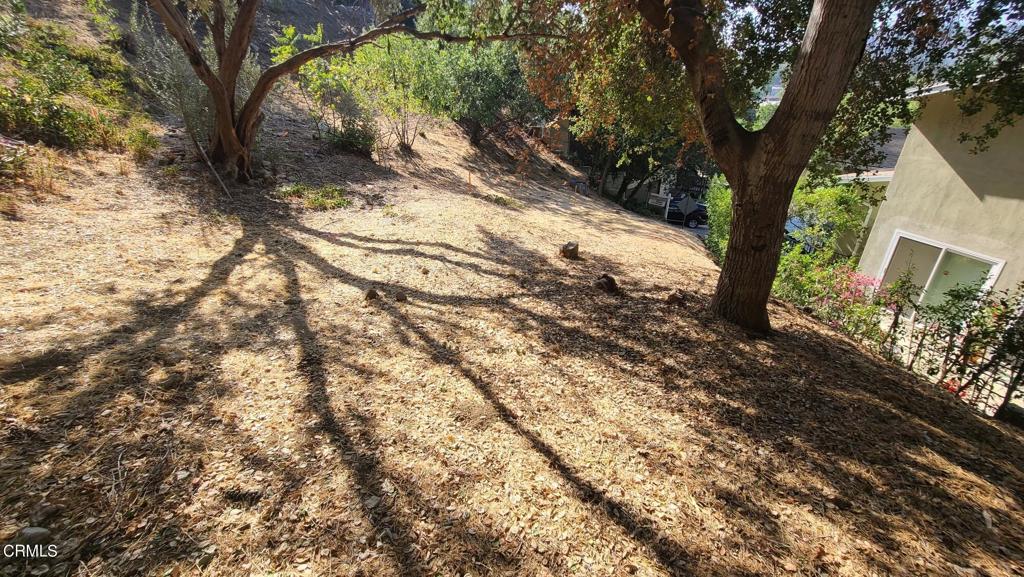 MLS #P1-22842 image #2