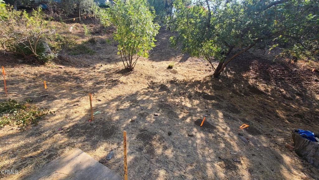 MLS #P1-22842 image #3