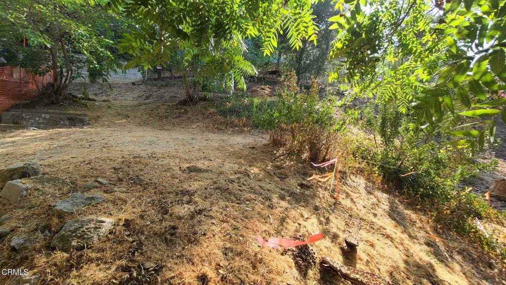 MLS #P1-22842 image #4