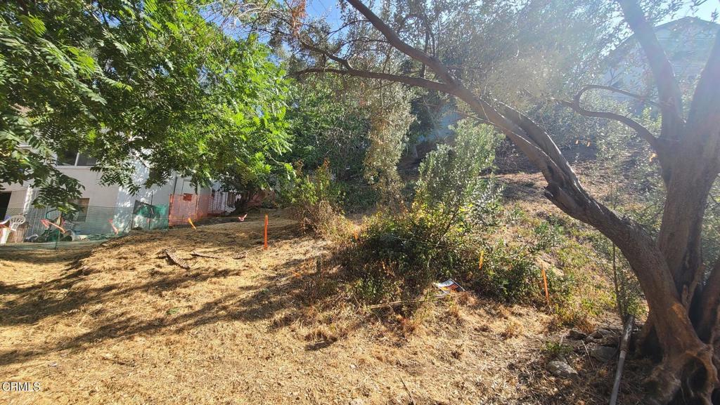 MLS #P1-22842 image #5