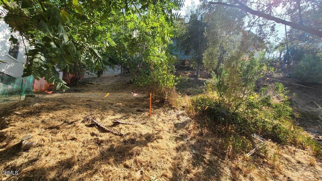 MLS #P1-22842 image #6