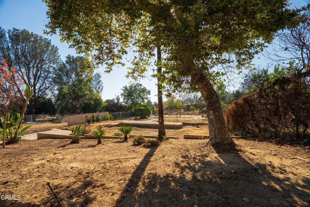 MLS #P1-22880 image #2