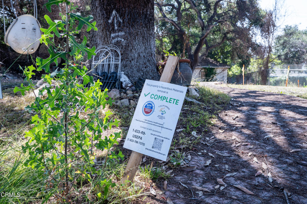 MLS #P1-22953 image #13