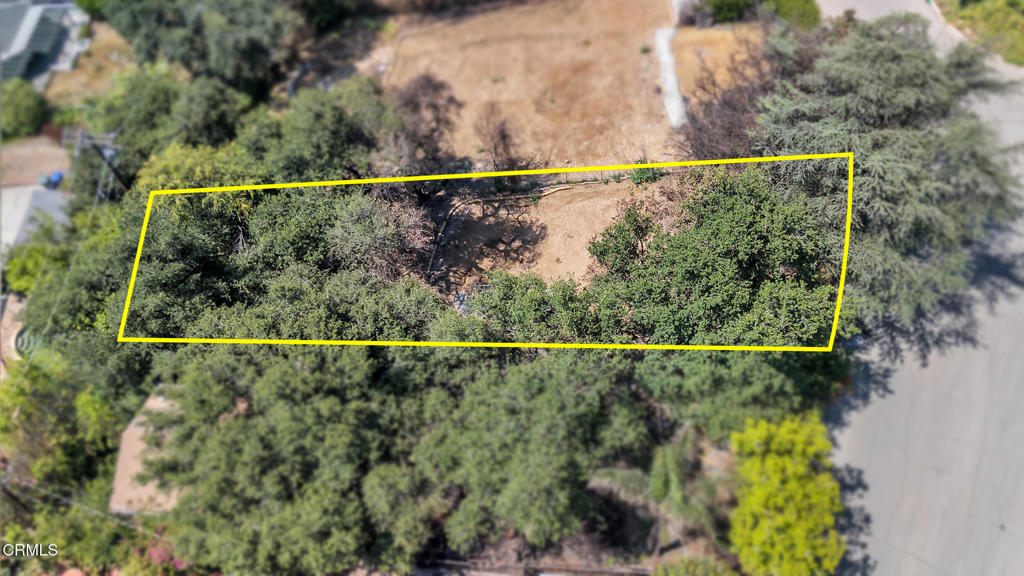 MLS #P1-22953 image #7