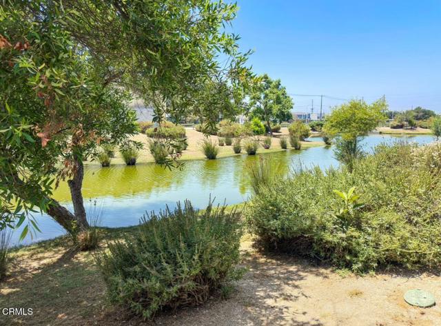 MLS #P1-22966 image #4