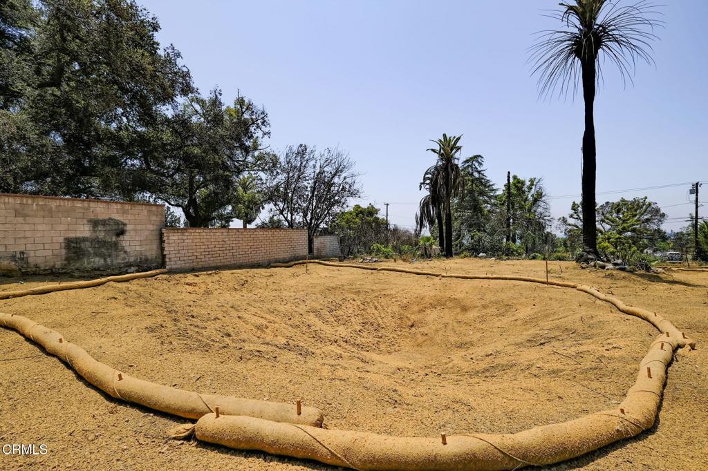 MLS #P1-22985 image #12