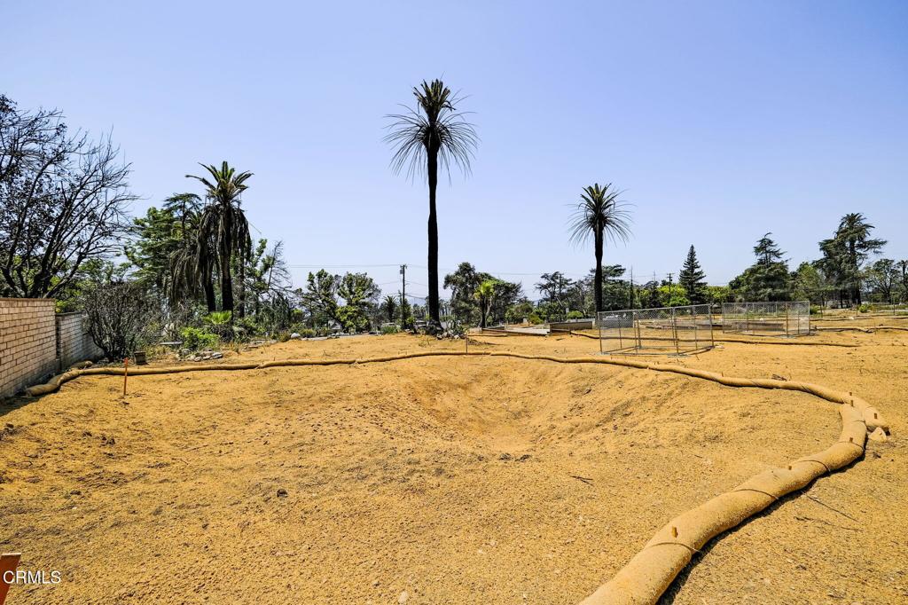 MLS #P1-22985 image #14