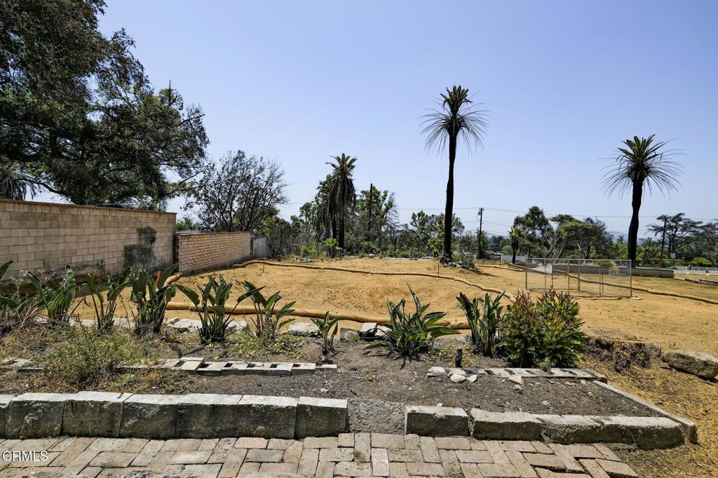 MLS #P1-22985 image #15