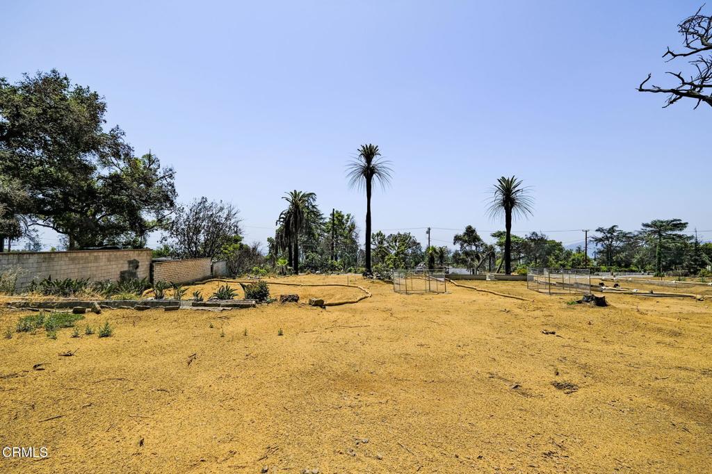 MLS #P1-22985 image #16