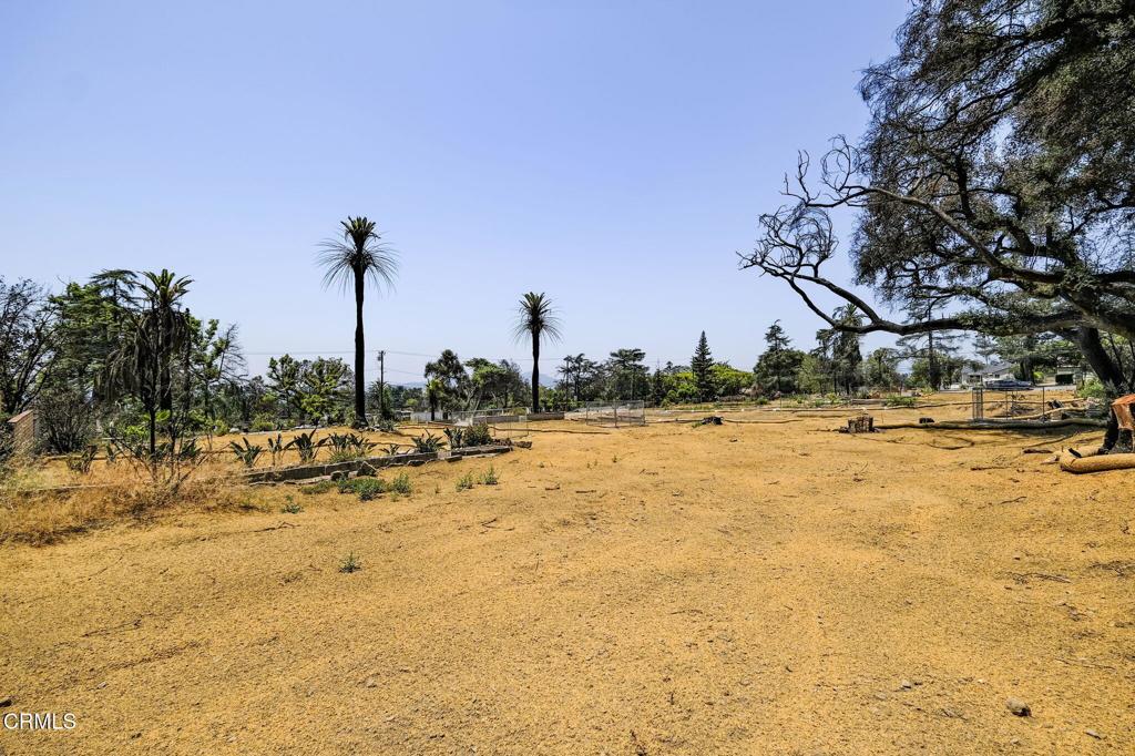 MLS #P1-22985 image #17