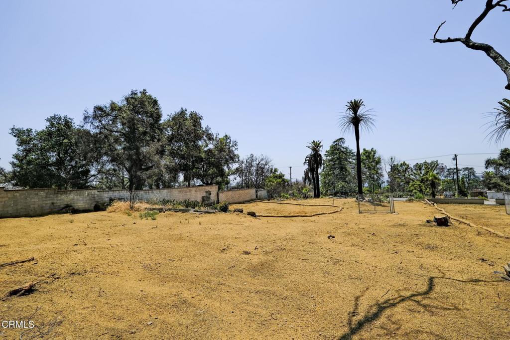 MLS #P1-22985 image #18