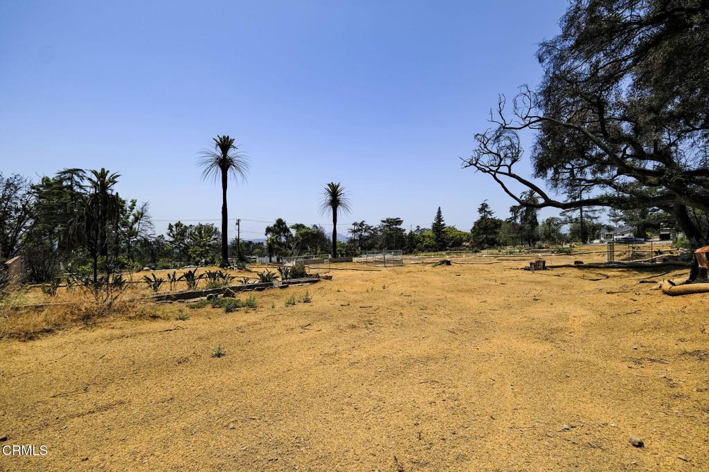 MLS #P1-22985 image #19