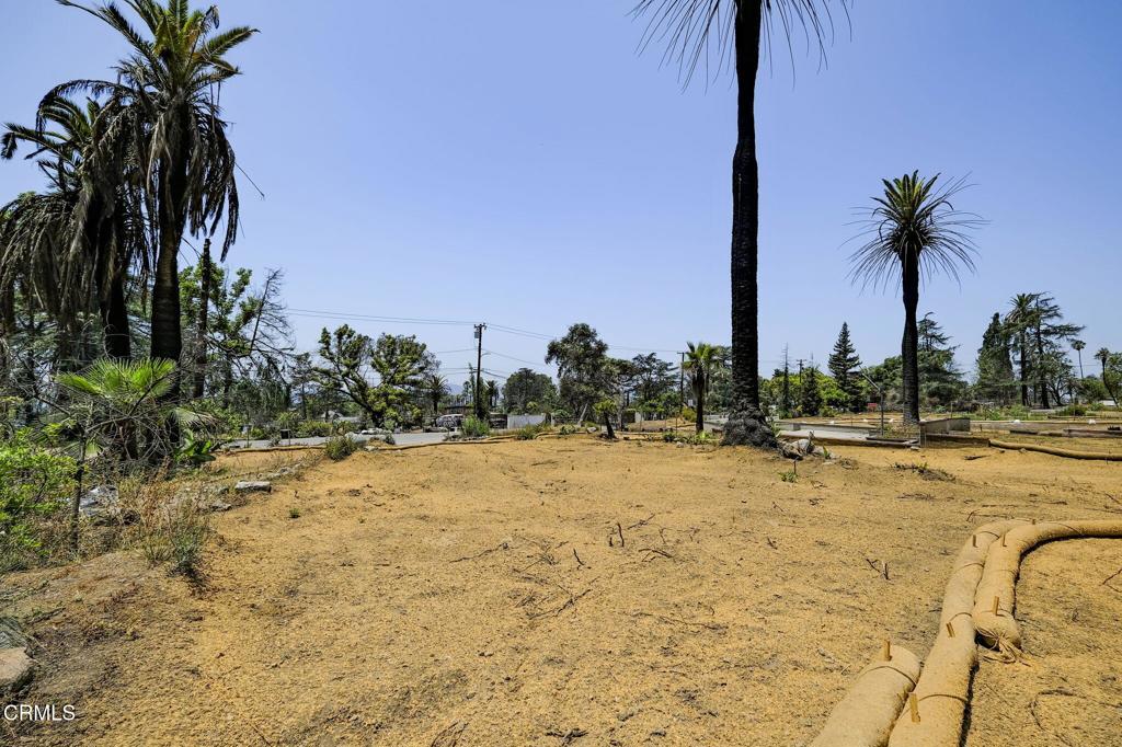 MLS #P1-22985 image #20