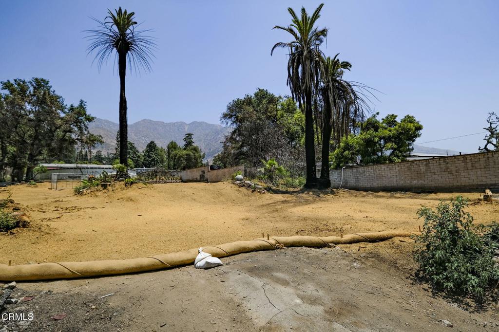 MLS #P1-22985 image #6