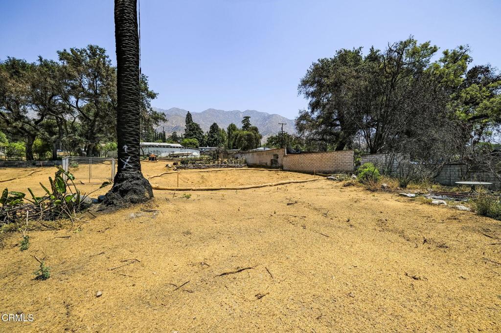 MLS #P1-22985 image #7