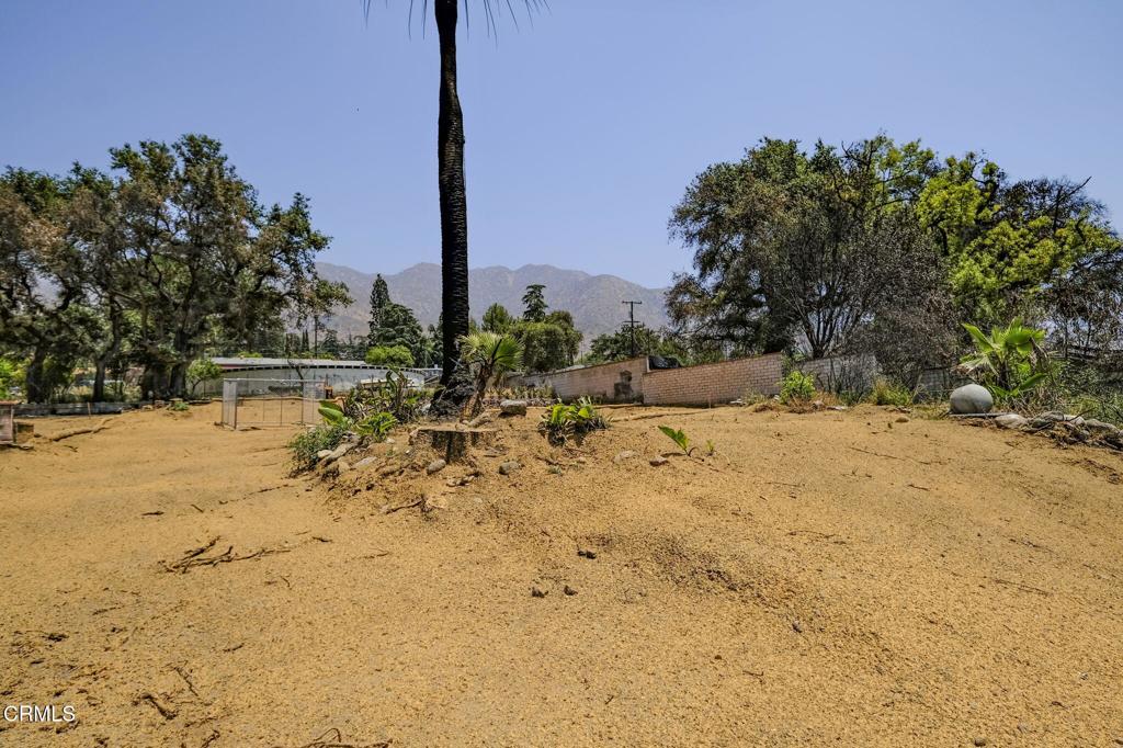 MLS #P1-22985 image #8