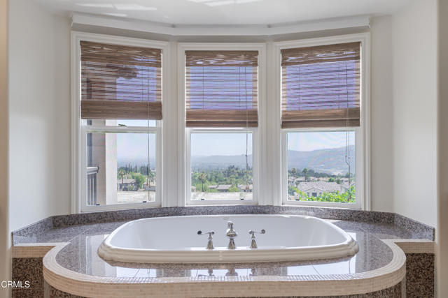 MLS #P1-23125 image #48