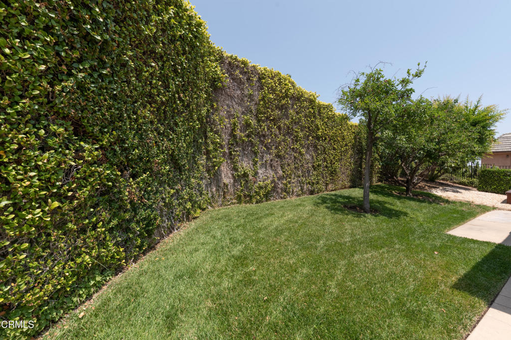 MLS #P1-23218 image #65