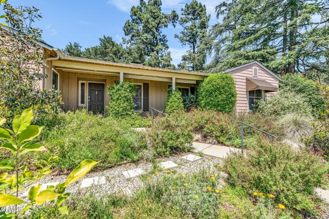 MLS #P1-23453 image #3