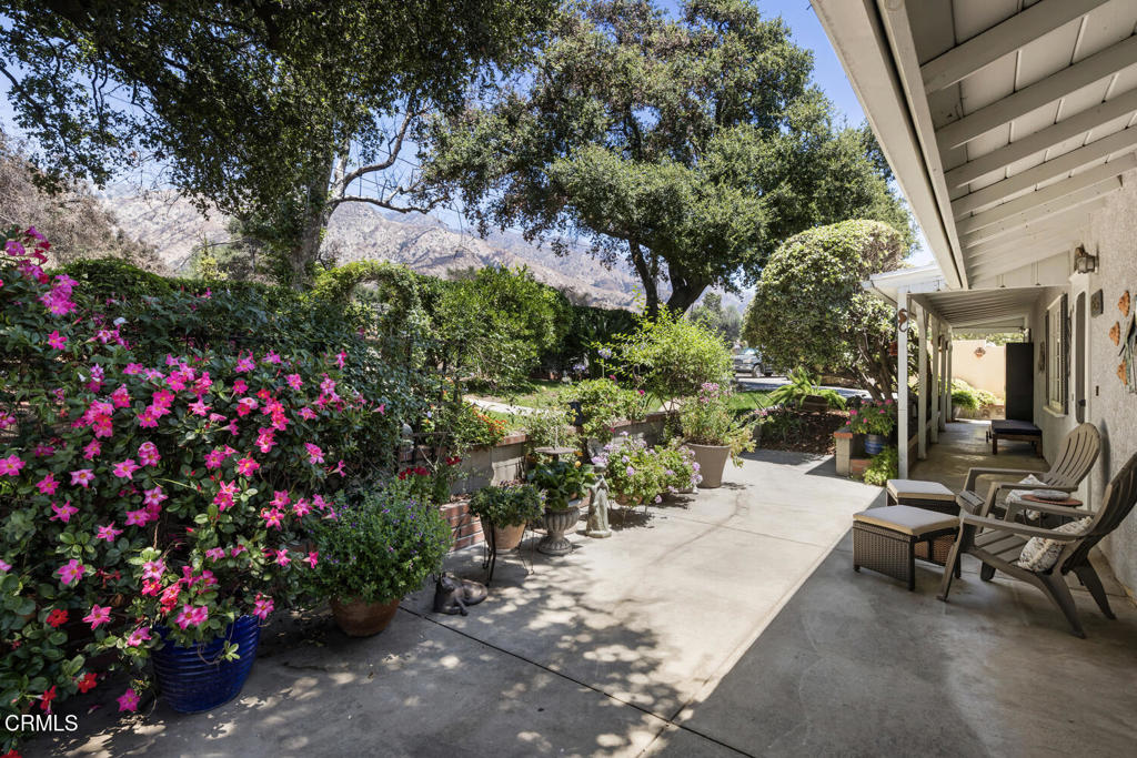 MLS #P1-23471 image #0