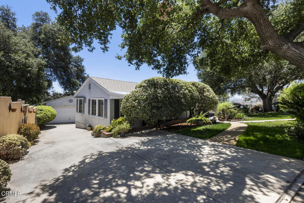 MLS #P1-23471 image #12