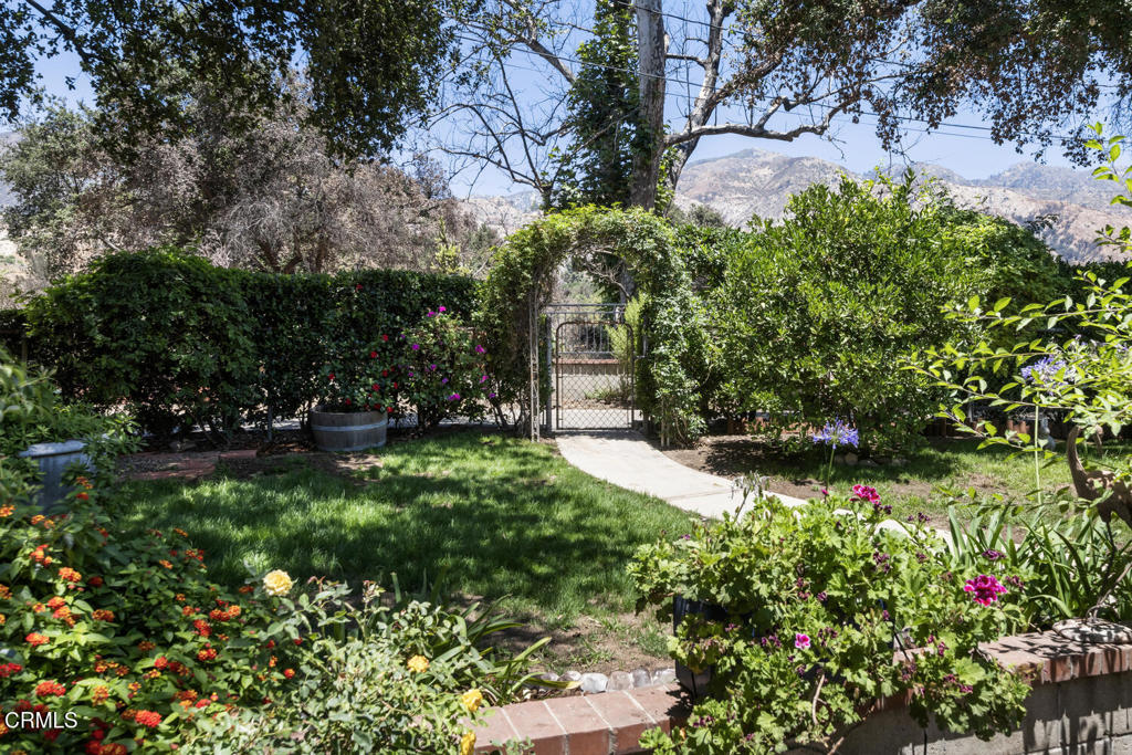 MLS #P1-23471 image #13