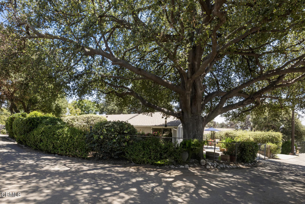 MLS #P1-23471 image #14